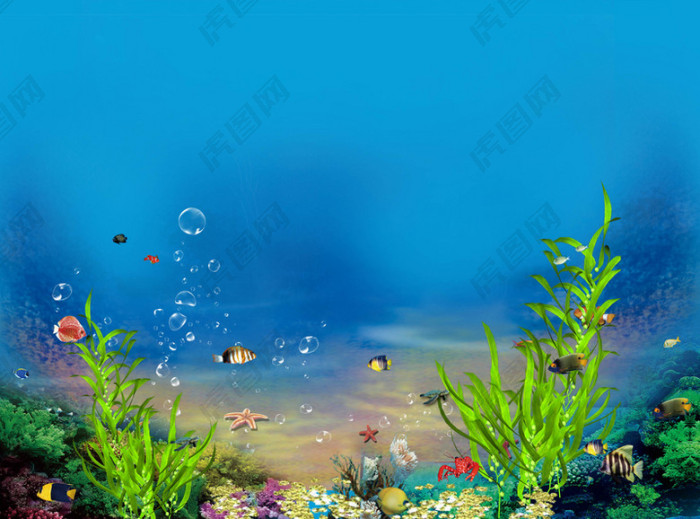 海底 世界 珊瑚 海草 海报 背景 元素