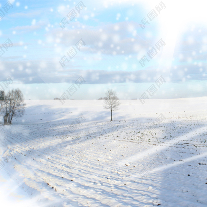 冬季雪景