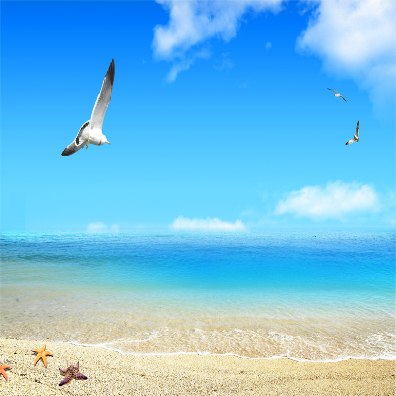 沙滩和海鸥