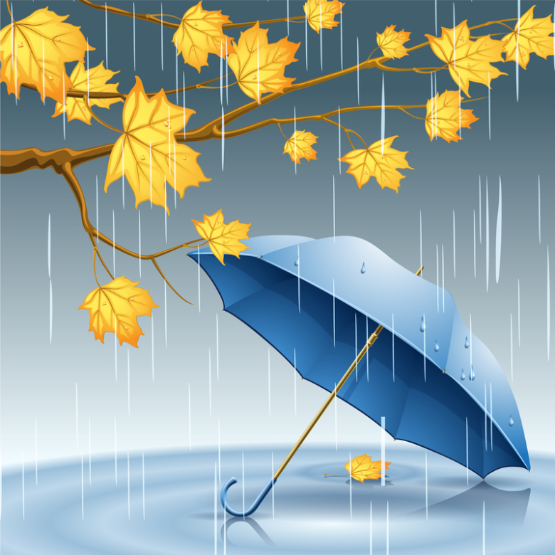 秋天梧桐树叶雨伞下雨背景