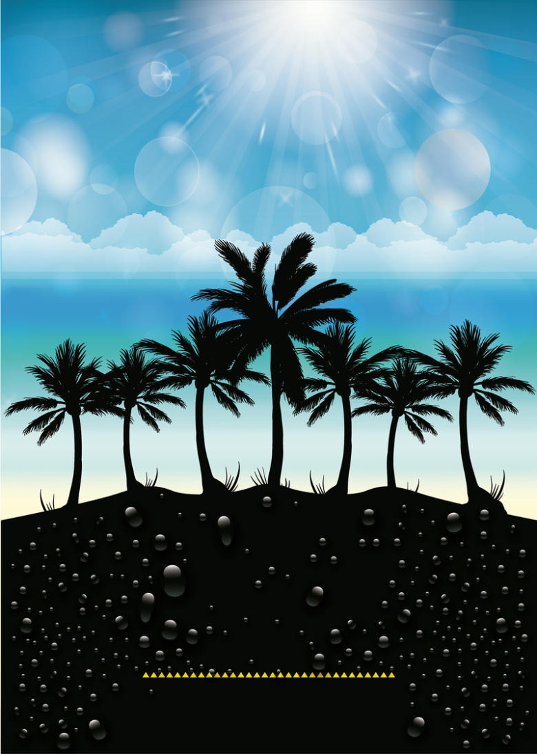 椰树林海报