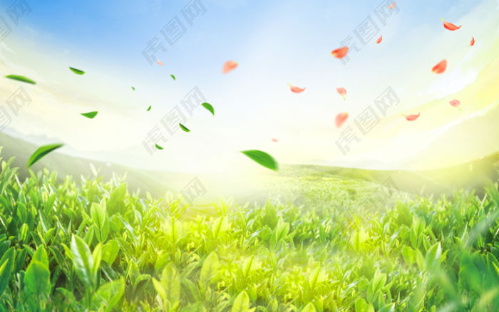 蓝天白云漂浮树叶叶子绿色草地风景背景素材