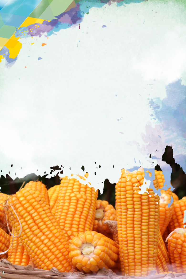 玉米五谷杂粮海报背景素材