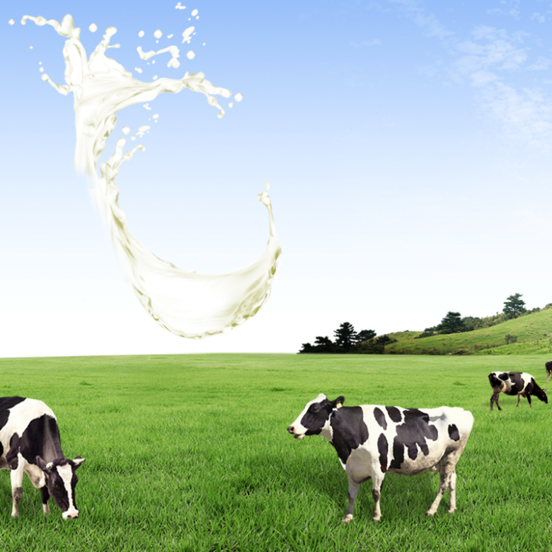 飞溅牛奶草地奶粉PSD分层主图背景素材