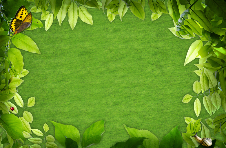 绿色清新树叶边框背景