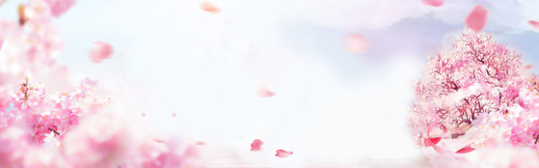 夏季浪漫粉色漂浮花瓣桃花海报背景