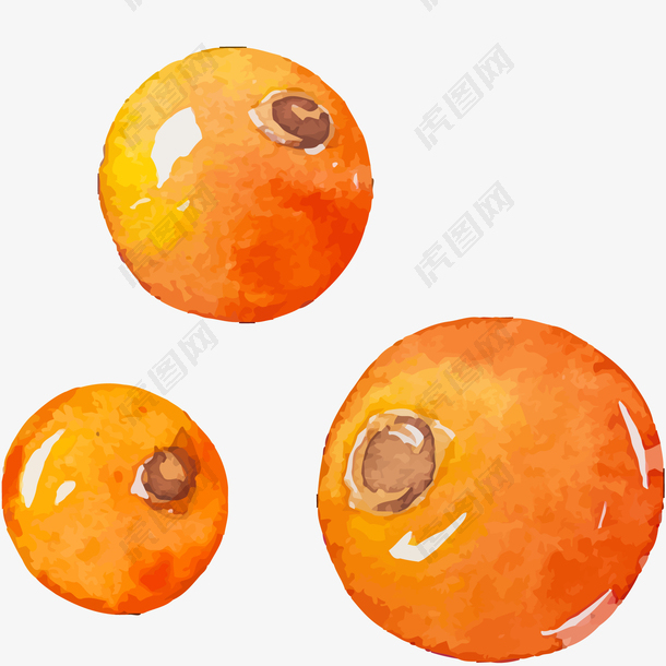 手绘装饰矢量橘子插画素材