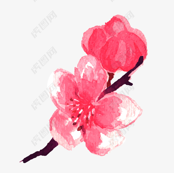 中国风手绘水彩桃花设计元素