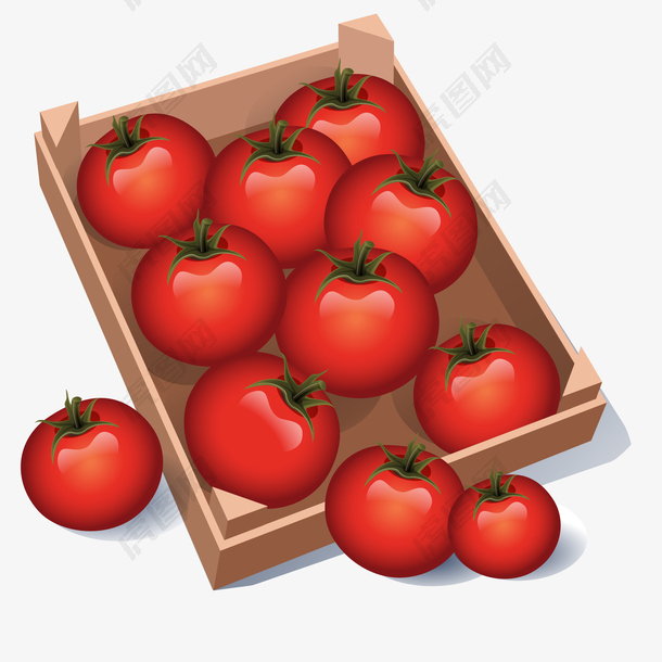 精美红色西红柿矢量