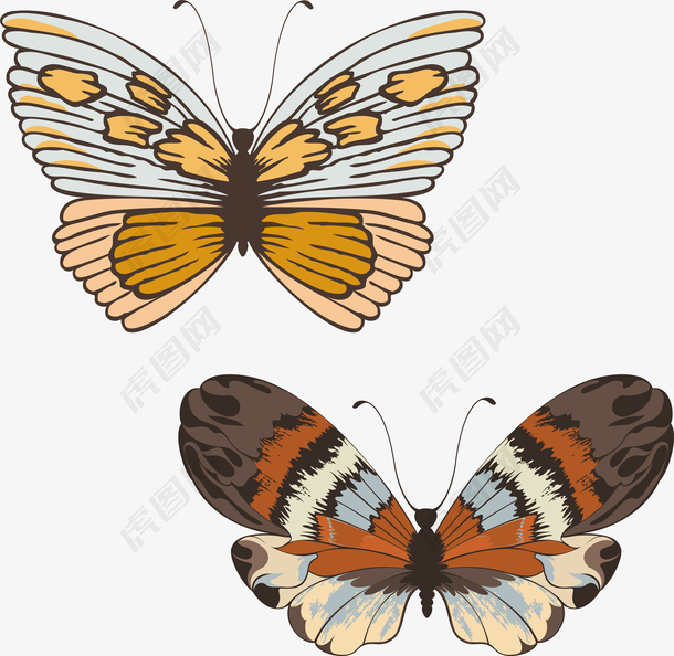 两只彩色的蝴蝶矢量元素