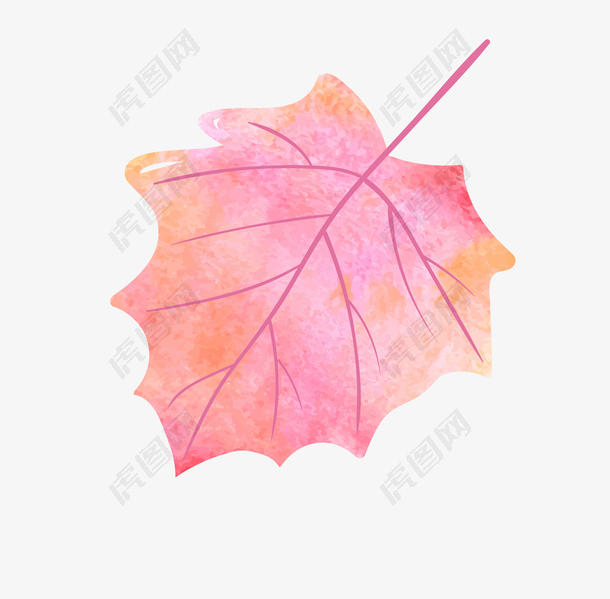 秋季水彩植物枫叶装饰图案