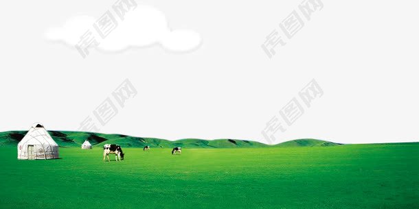 草原上的牛