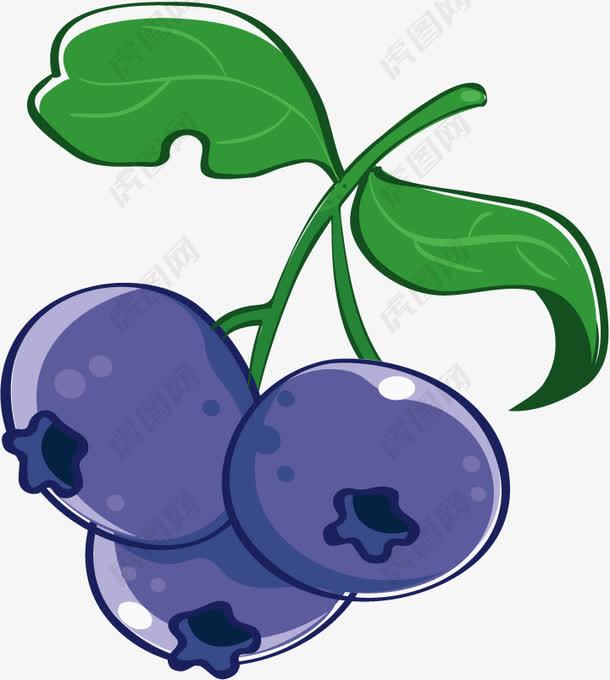 矢量水果蓝莓