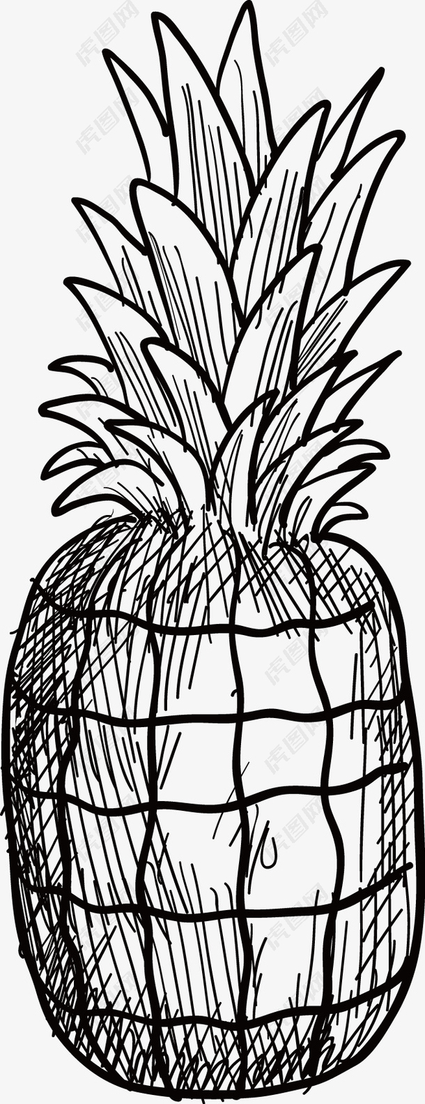 菠萝手绘矢量图