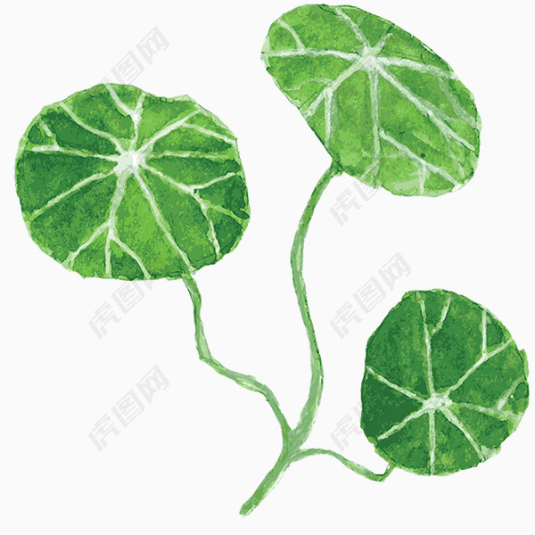 手绘水彩绿色荷叶植物图片