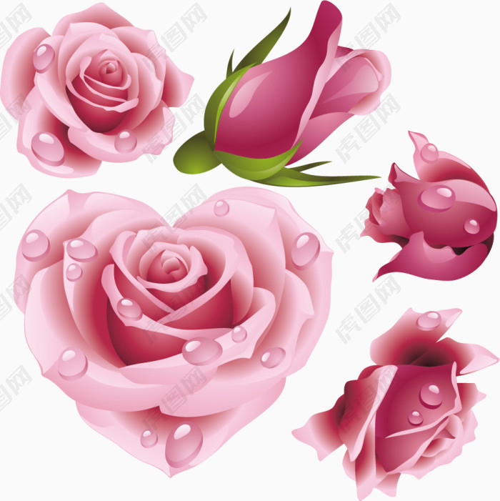 粉色玫瑰装饰元素