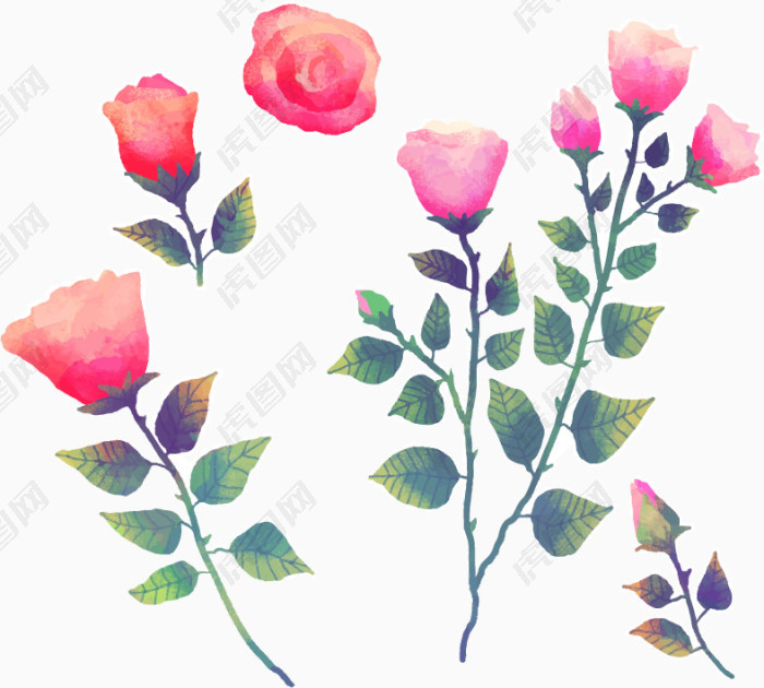 红玫瑰水彩手绘装饰元素